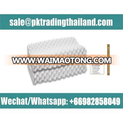 Natural Latex Pillow Thailand